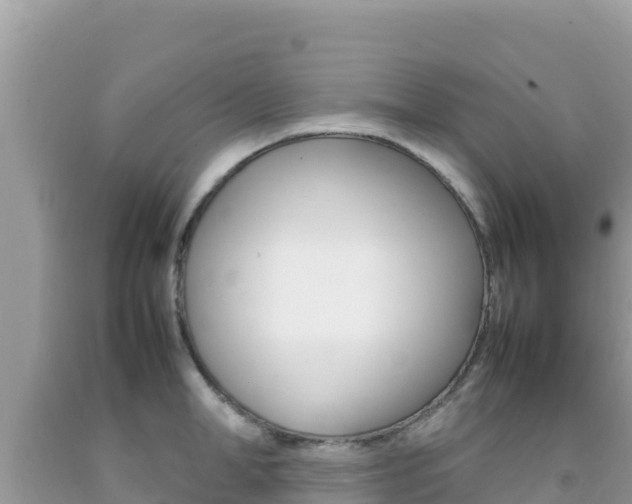 X0000092230998200709140938