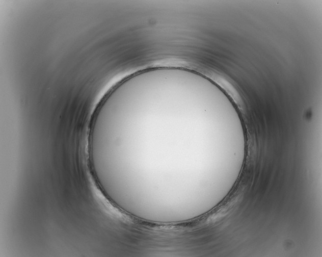 X0000092231000200709140938