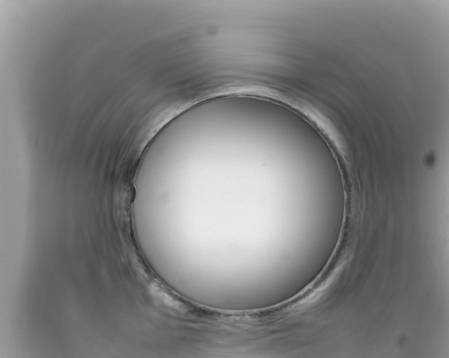 X0000092231001200709140938