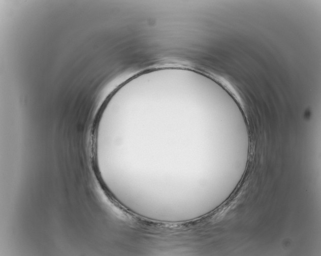 X0000092231003200709140938