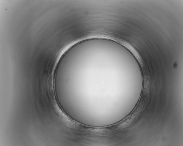 X0000092231004200709140938