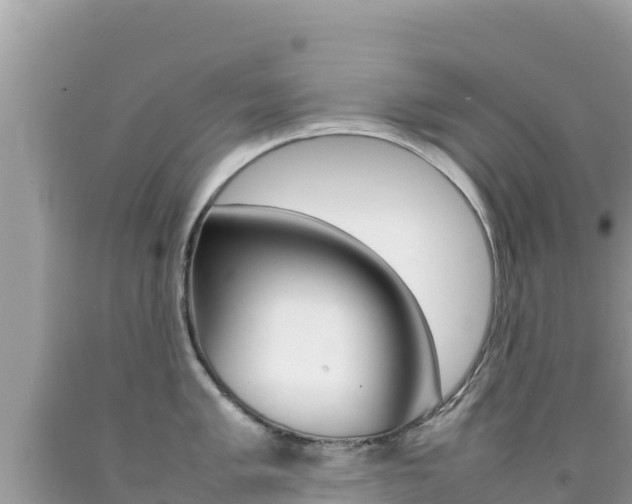X0000092231005200709140938