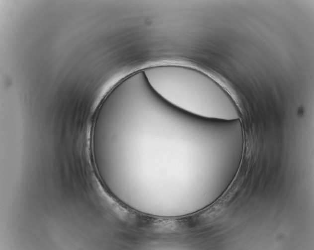 X0000092231006200709140938