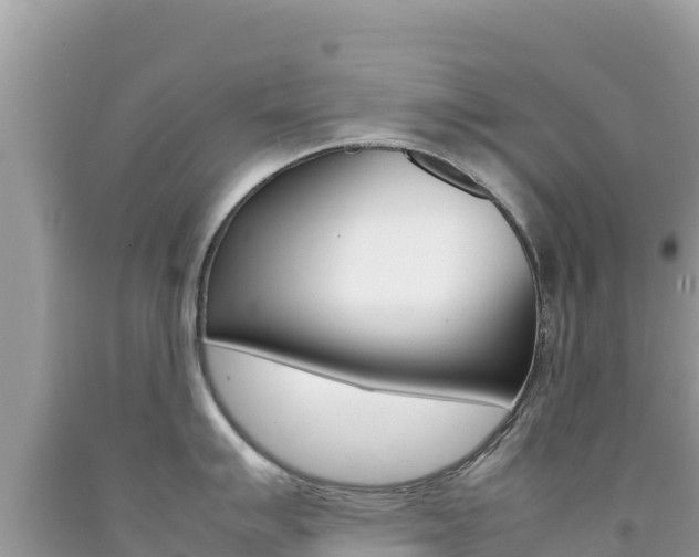 X0000092231007200709140938