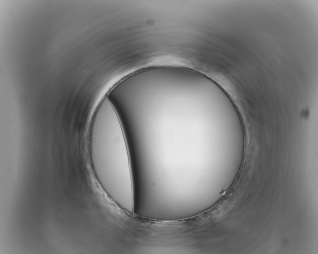 X0000092231008200709140938