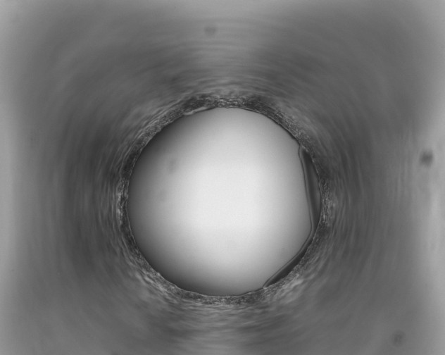 X0000092231010200709140937