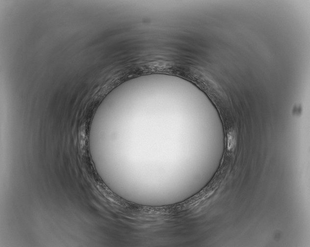 X0000092231011200709140937