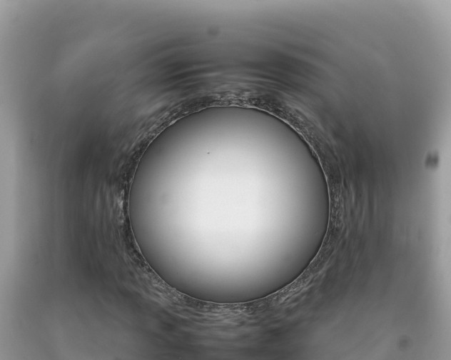 X0000092231013200709140937