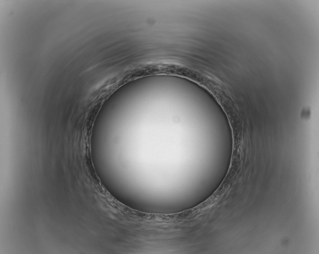 X0000092231014200709140937