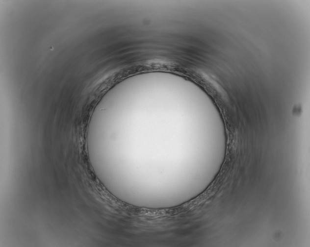 X0000092231015200709140937