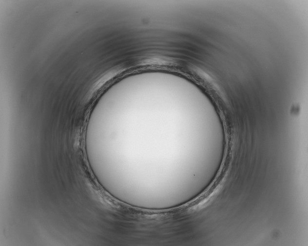 X0000092231017200709140937