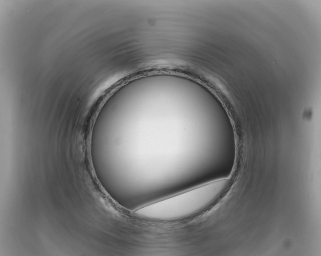 X0000092231018200709140937