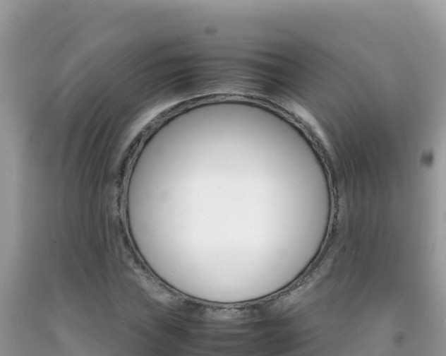 X0000092231019200709140937