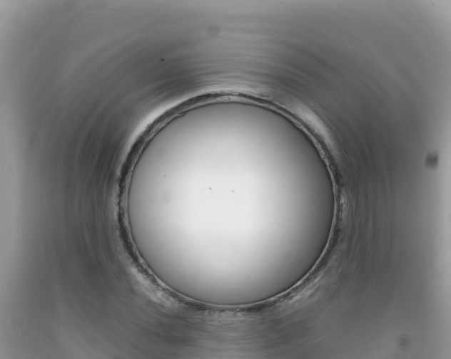 X0000092231020200709140937