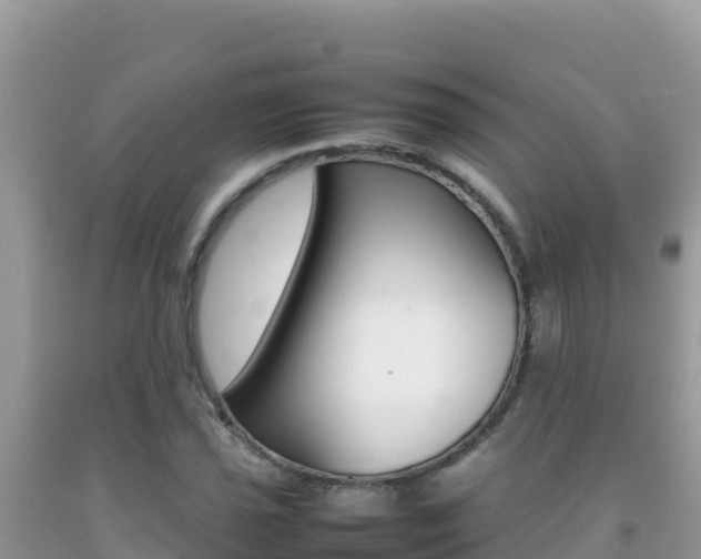 X0000092231021200709140937