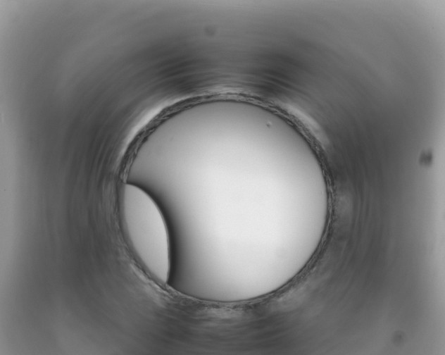 X0000092231023200709140937