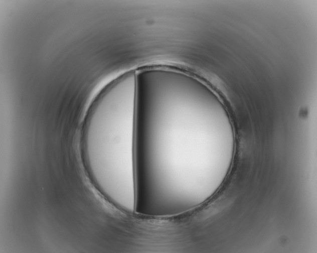 X0000092231024200709140937