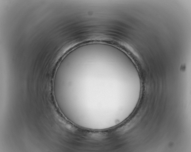 X0000092231025200709140937