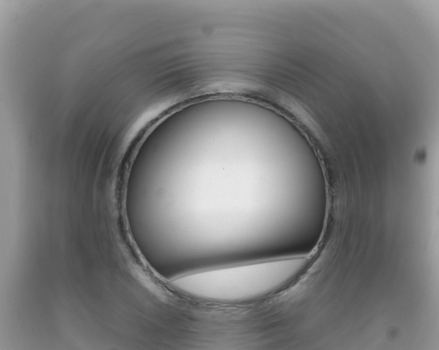 X0000092231026200709140937