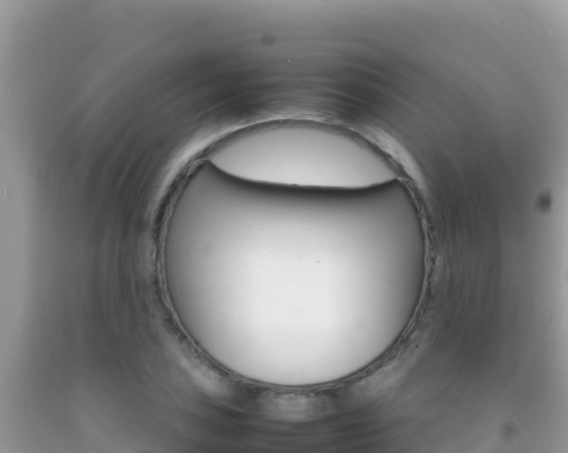 X0000092231027200709140937