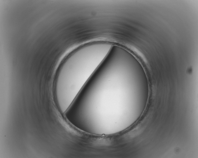 X0000092231029200709140937