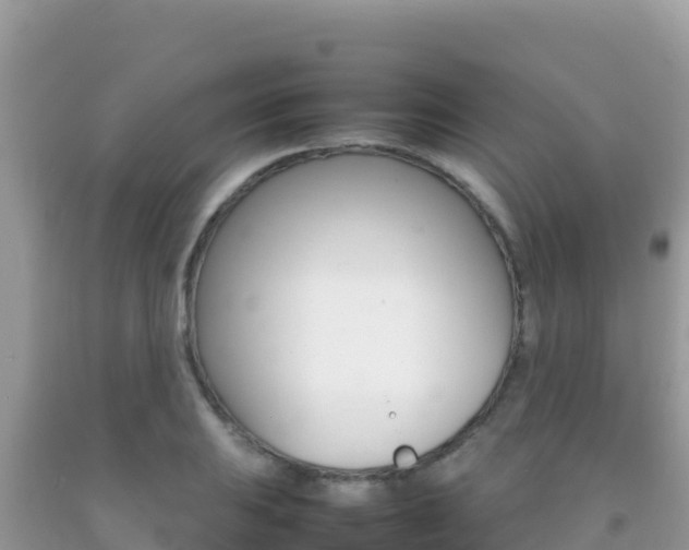 X0000092231031200709140937