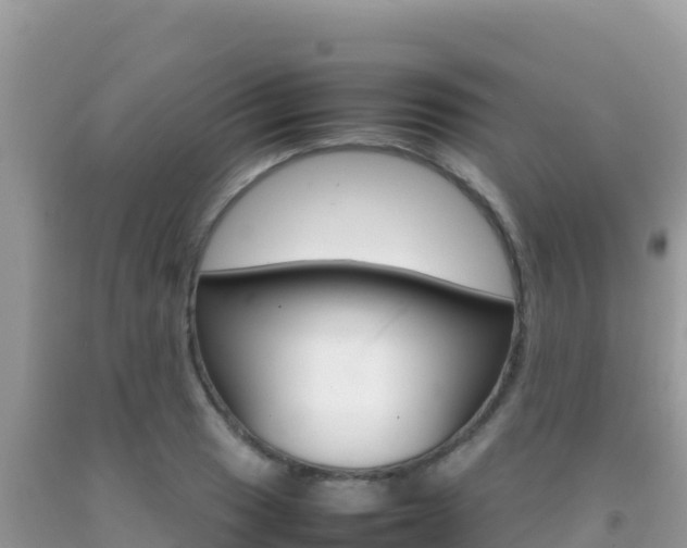 X0000092231033200709140937