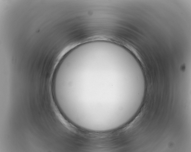 X0000092231034200709140938