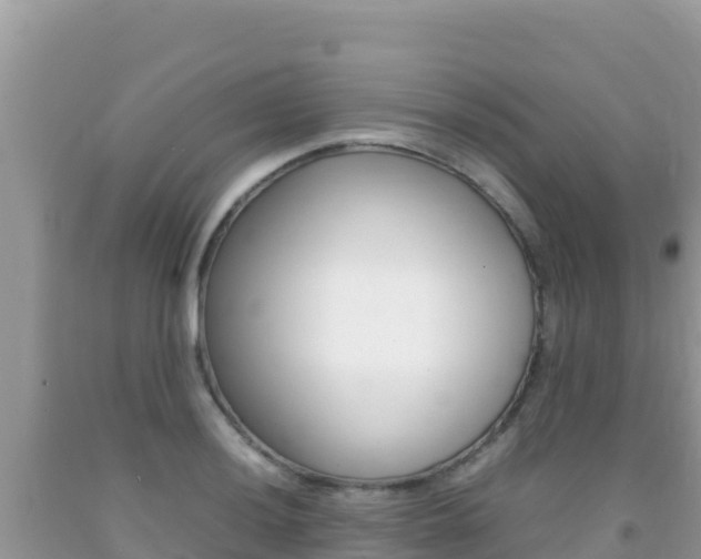 X0000092231036200709140938