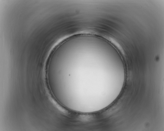 X0000092231037200709140938