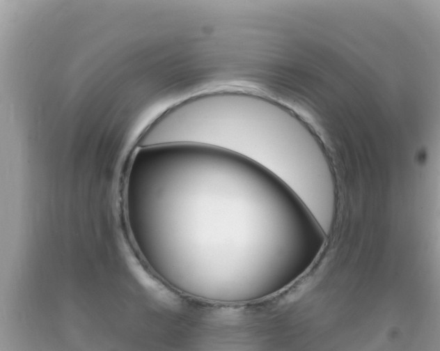 X0000092231038200709140938