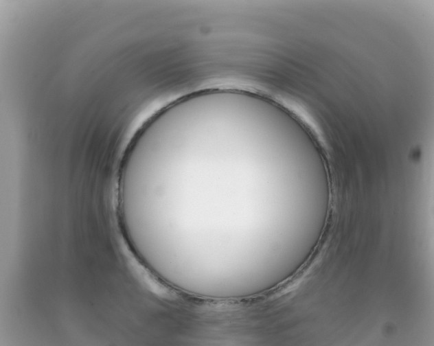 X0000092231040200709140938