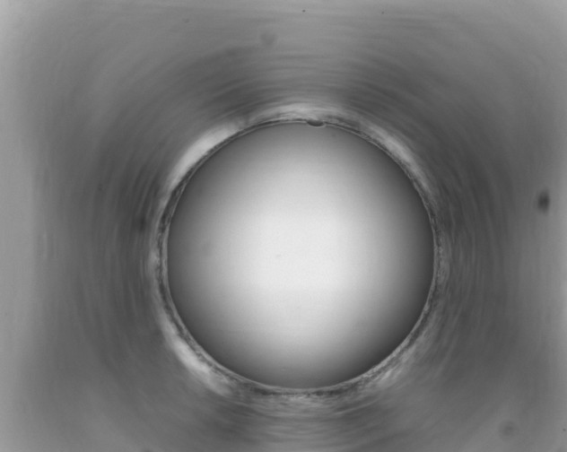 X0000092231042200709140938