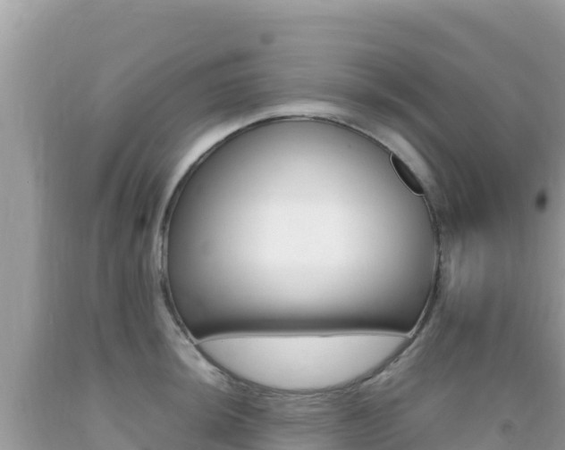 X0000092231044200709140938