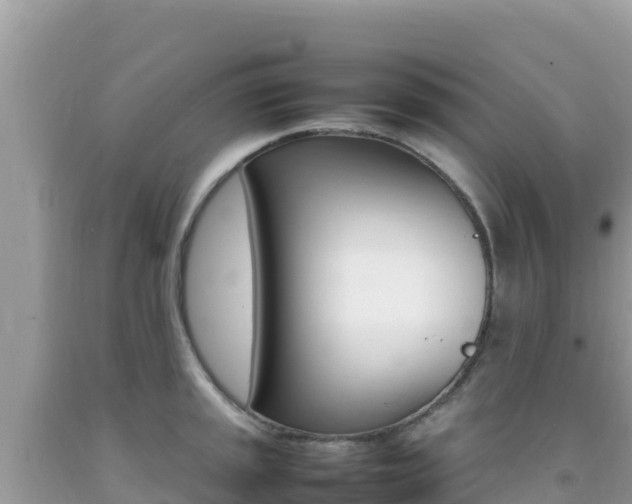 X0000092231045200709140938