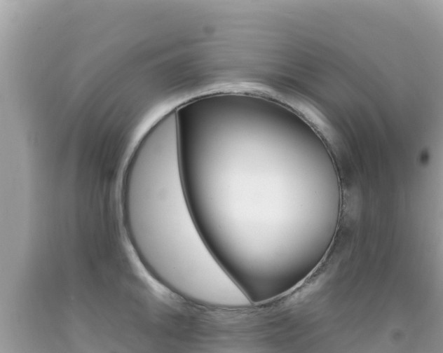 X0000092231046200709140938