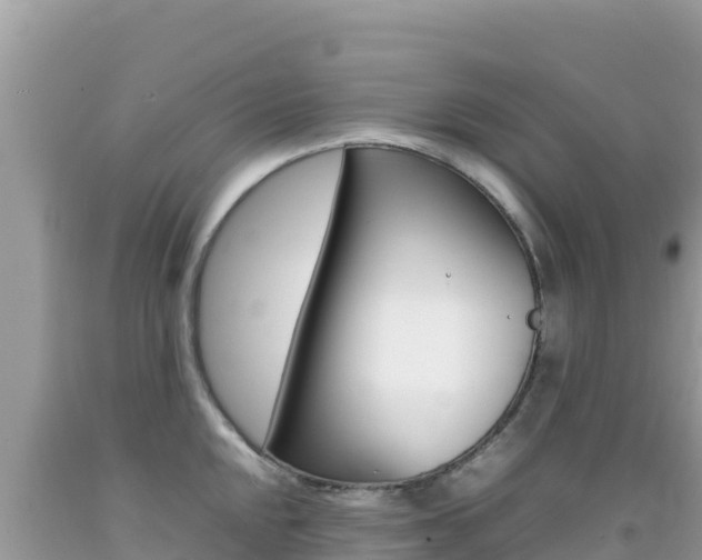 X0000092231048200709140938