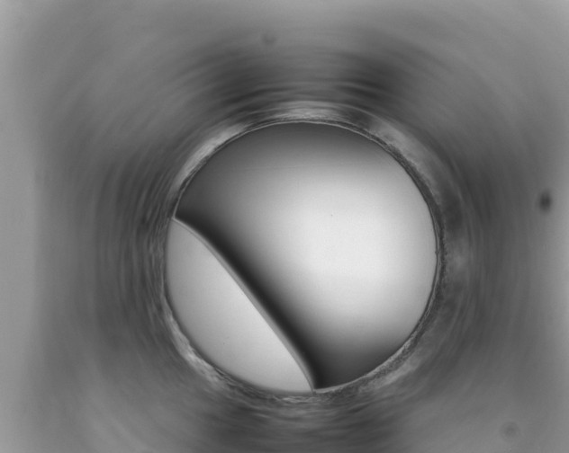 X0000092231049200709140938