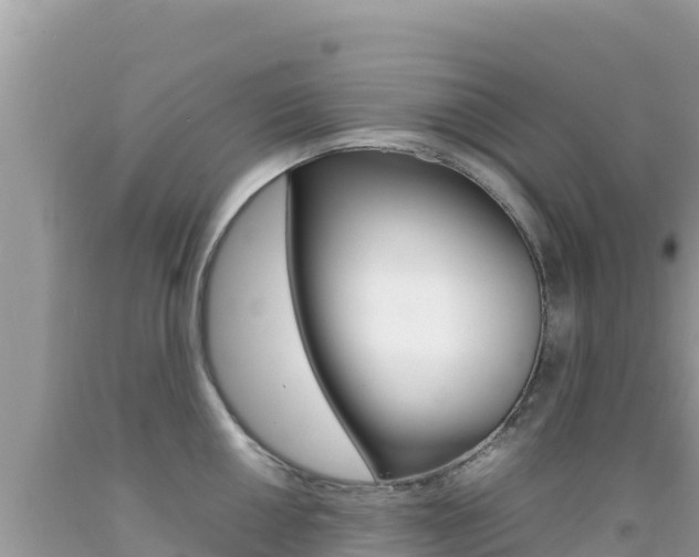 X0000092231050200709140938
