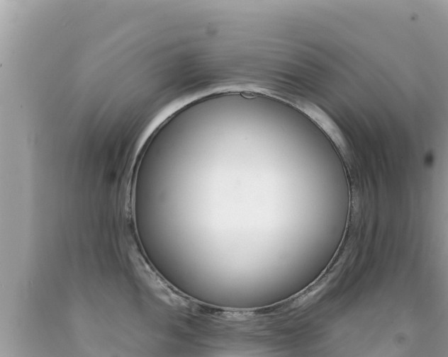 X0000092231052200709140938