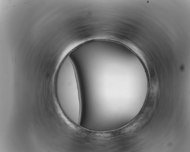 X0000092231053200709140938