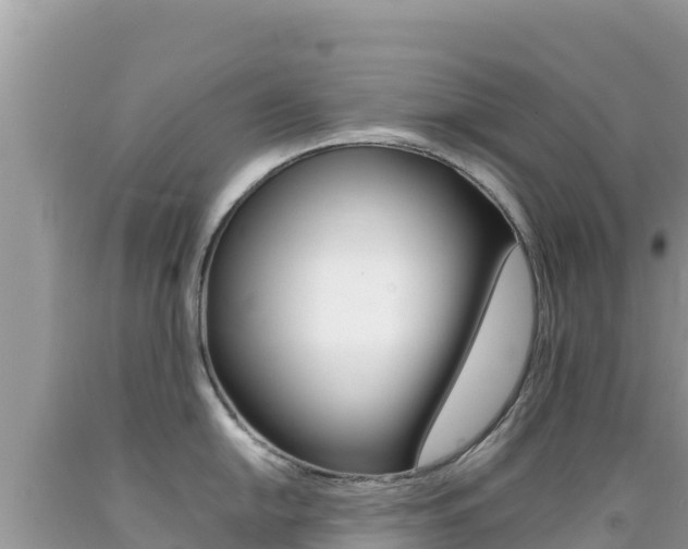 X0000092231054200709140938
