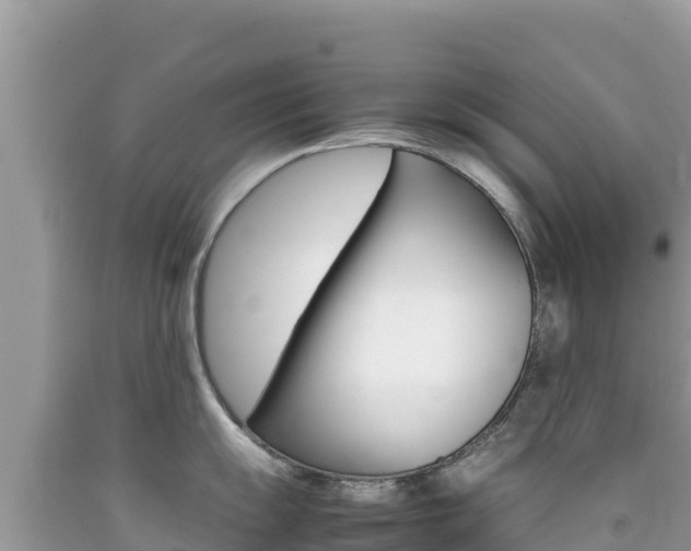 X0000092231055200709140938