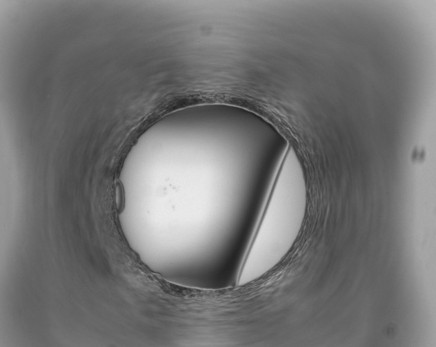 X0000092231057200709140937