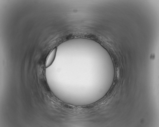 X0000092231059200709140937