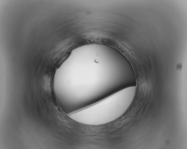 X0000092231060200709140937