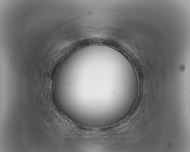X0000092231061200709140937