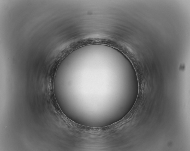 X0000092231062200709140937