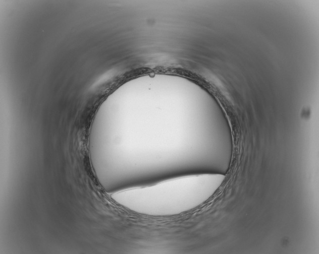 X0000092231063200709140937