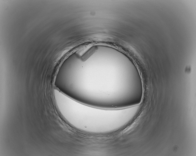 X0000092231065200709140937
